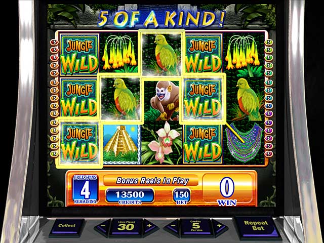 casino slot machines wild
